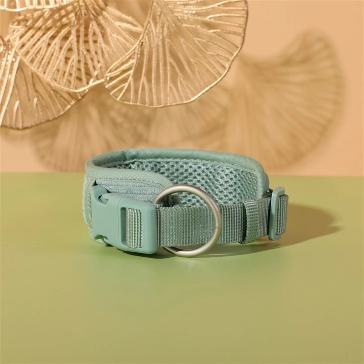 pet collar
