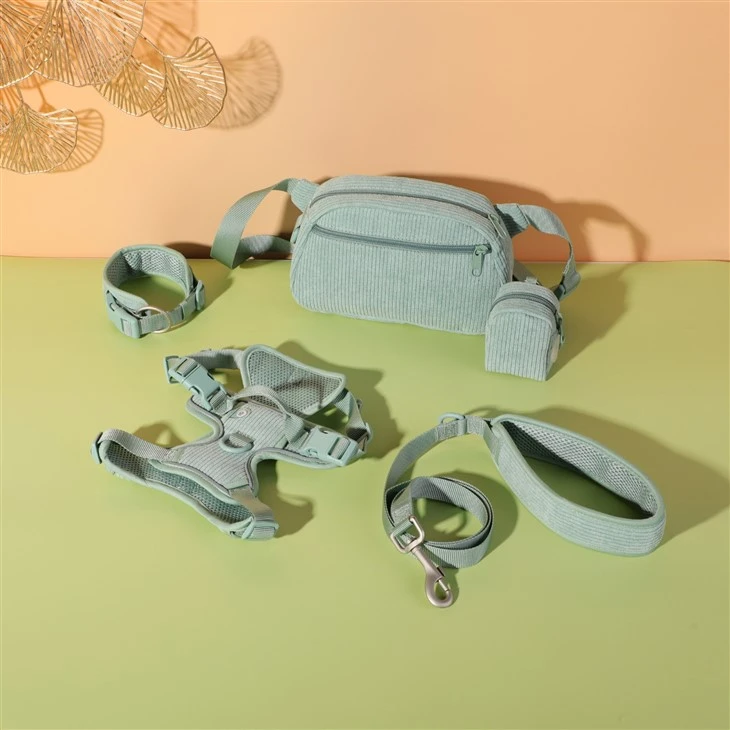 Mint Green Corduroy Dog Set