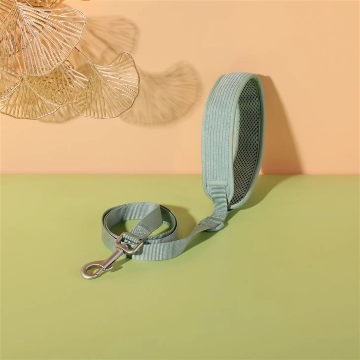 pet leash