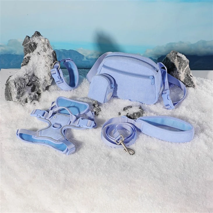 Best Dog Collar Set For Small Dogs