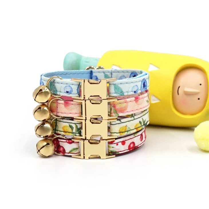 Best Kitten Collar