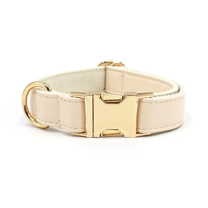 cream best leather dog collars