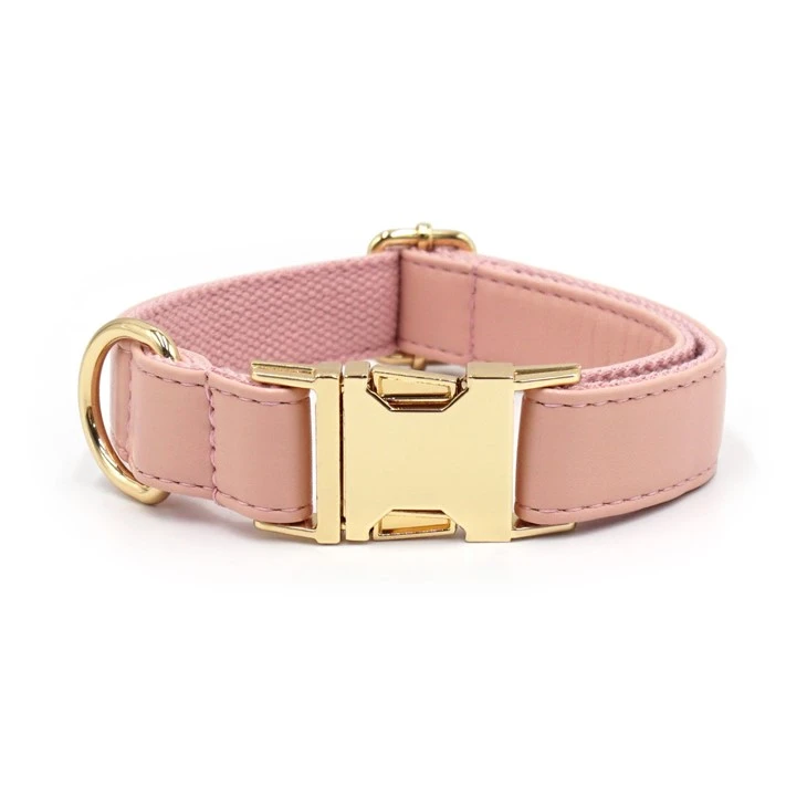 pink best leather dog collars