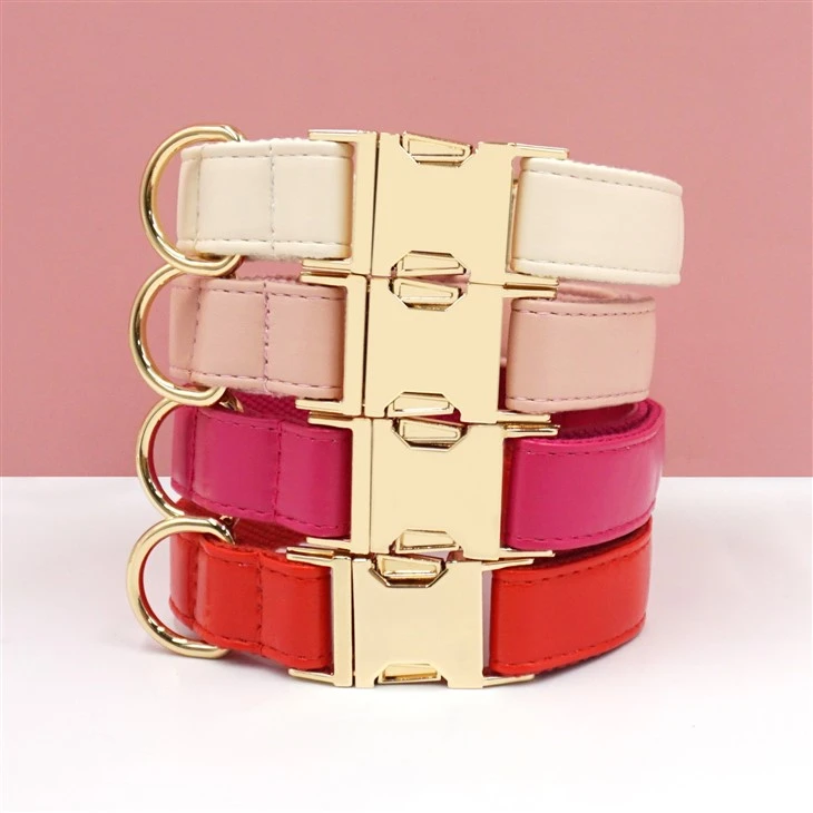 Best Leather Dog Collars