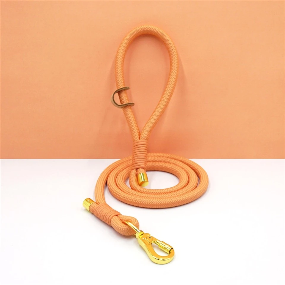 orange polyester dog leash