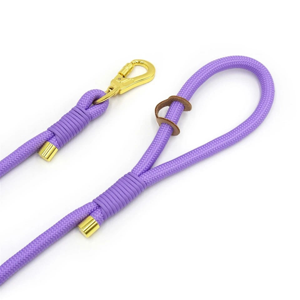purple polyester dog leash