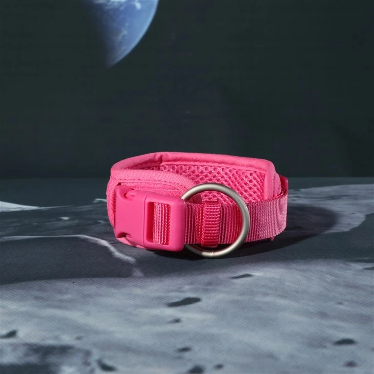 Designer Dog Collar And Leash Set