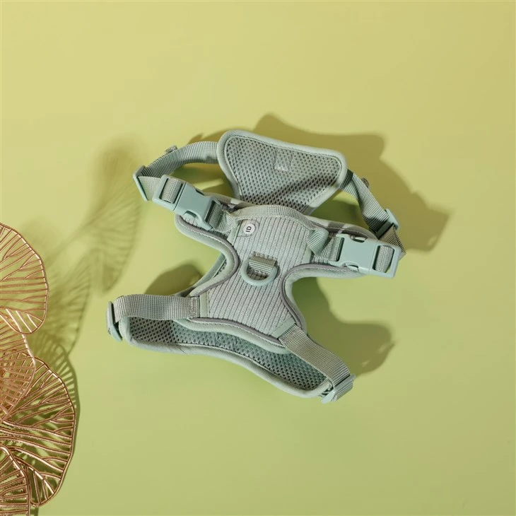 pet harness