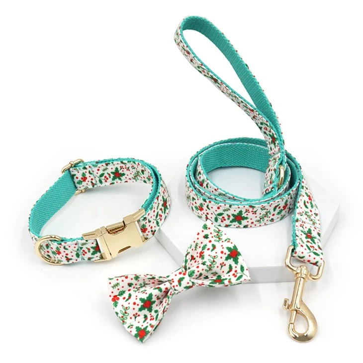 Fashionable Dog Collar Set