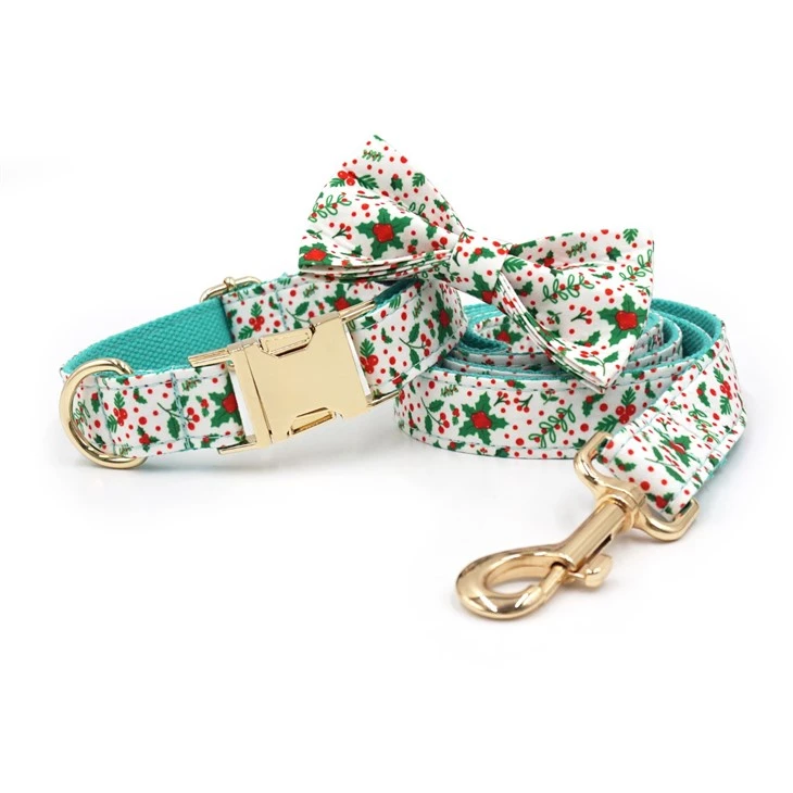 Fashionable Dog Collar Set