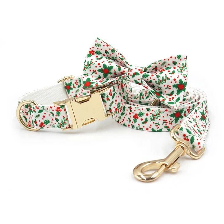 Fashionable Dog Collar Set