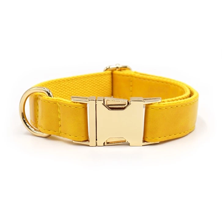 productcate-1-1 yellow handmade leather dog collars