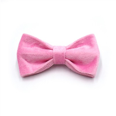 Pay attention to the appropriate size when wearing collars for cats