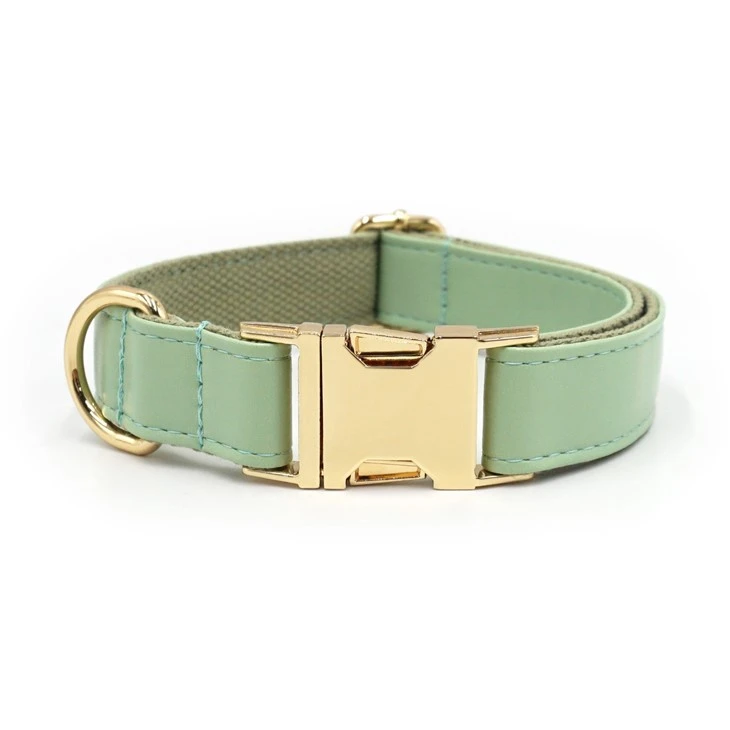 productcate-1-1 mint green leather dog collar