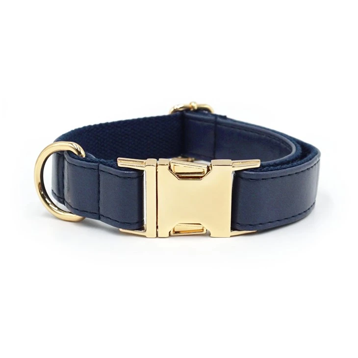 dark blue leather dog collar