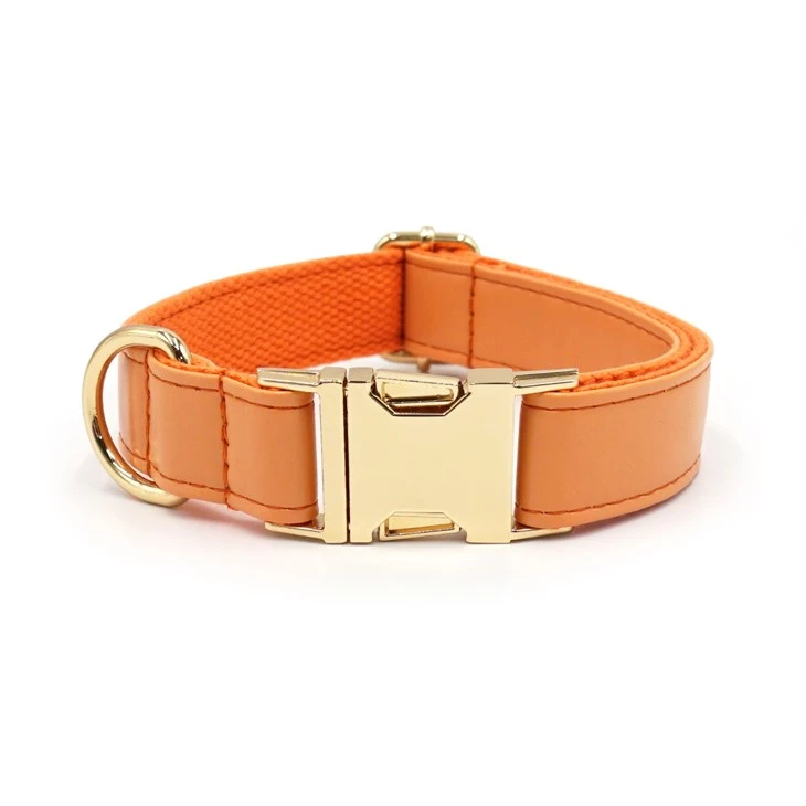 orange leather pet collar