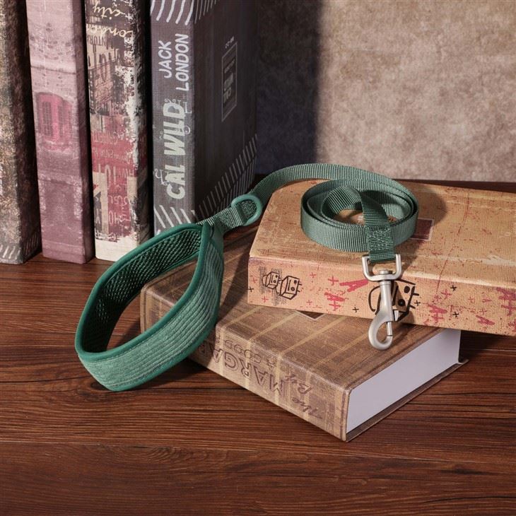 Luxury Collar Walk Sets