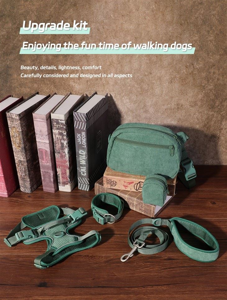 Luxury Collar Walk Sets