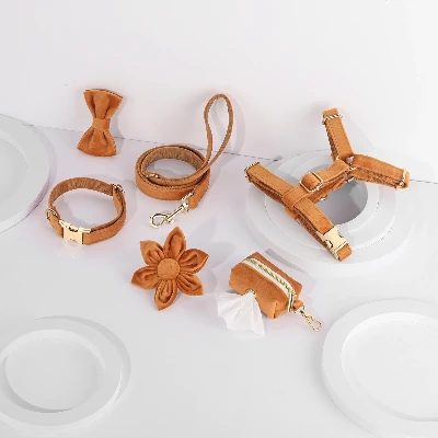 dog collar set dog collar set