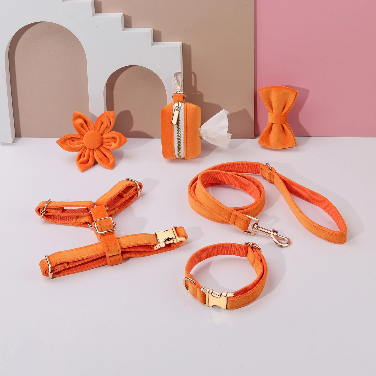 orange dog collar set