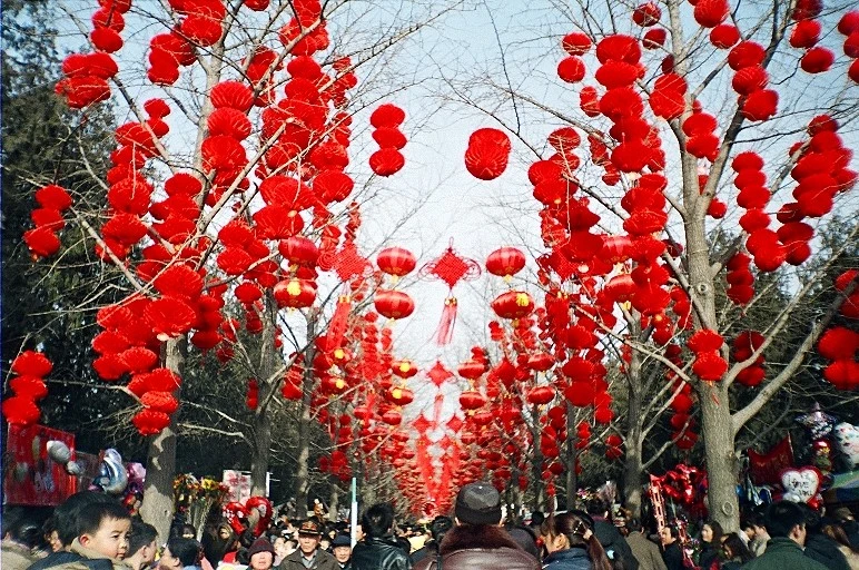 Spring Festival Spring Festival