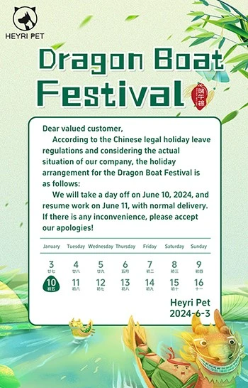 Dragon Boat Festival Dragon Boat Festival
