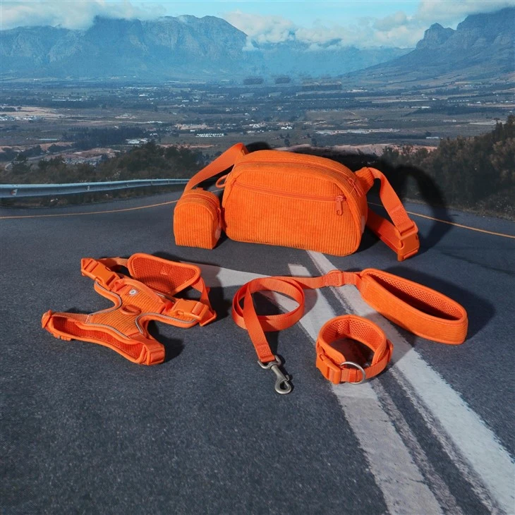 Orange Corduroy Dog Set