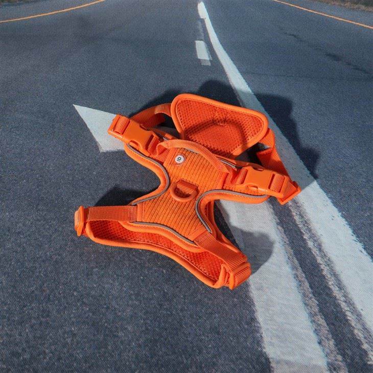 productcate-1-1 Orange Corduroy Dog Set