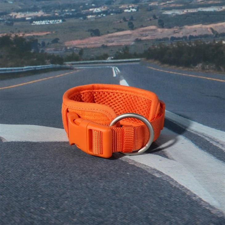 Orange Corduroy Dog Set