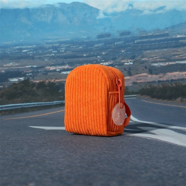 Orange Corduroy Dog Set