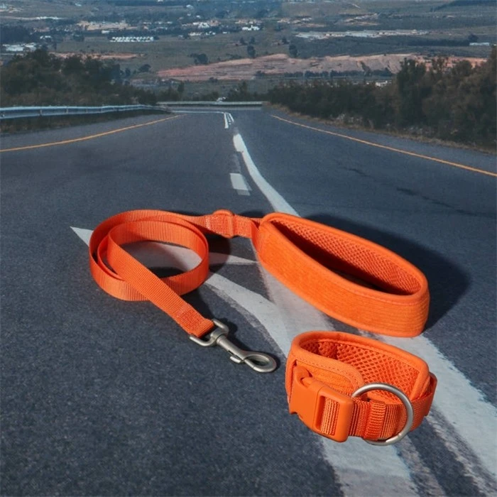 collar+leash (6)