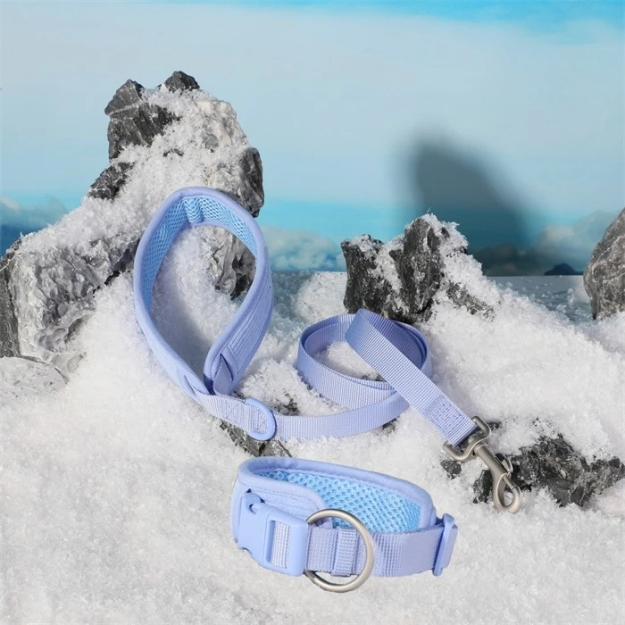 collar+leash (3)