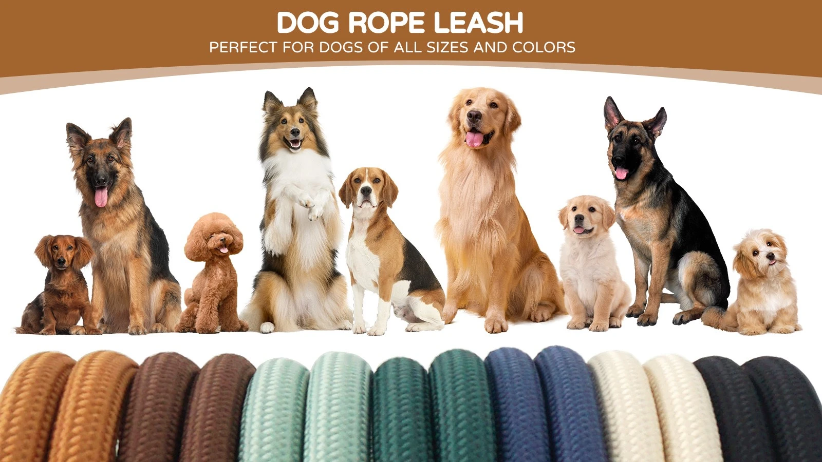 dog rope leash