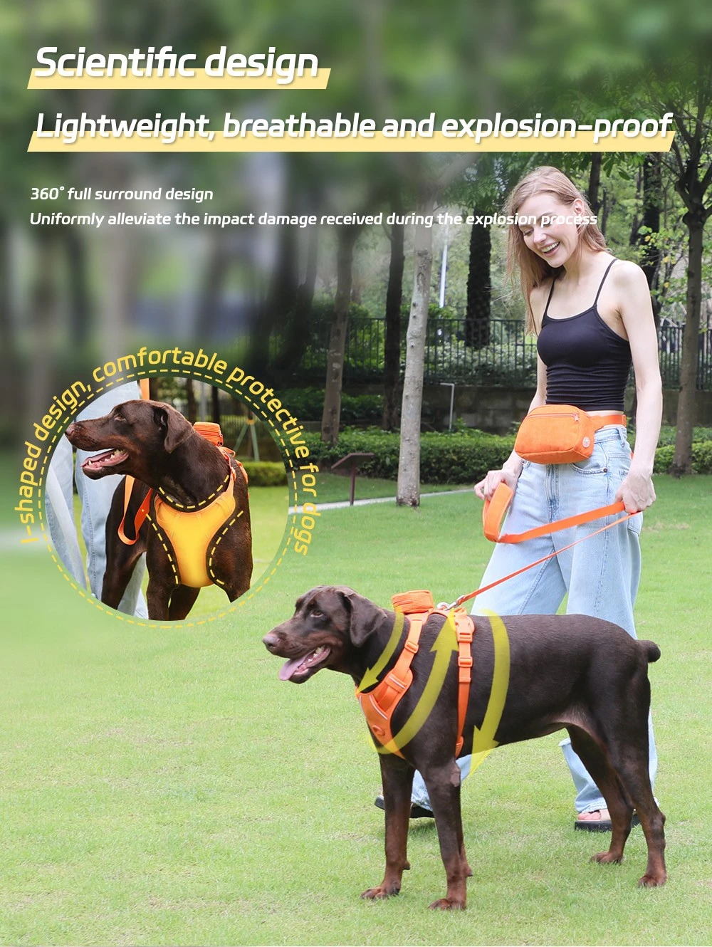 dog harness dog harness