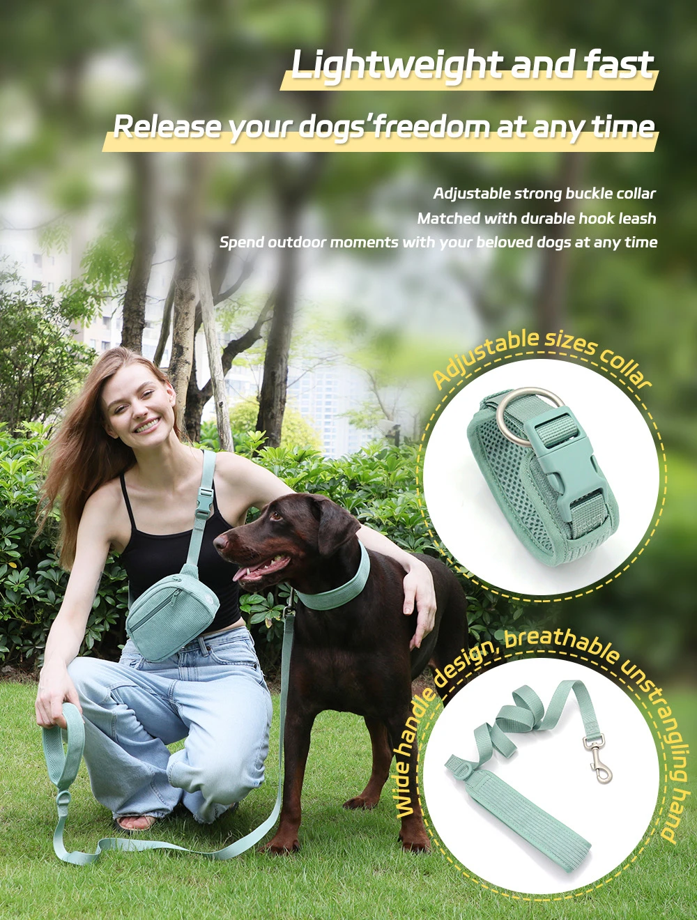 dog leash