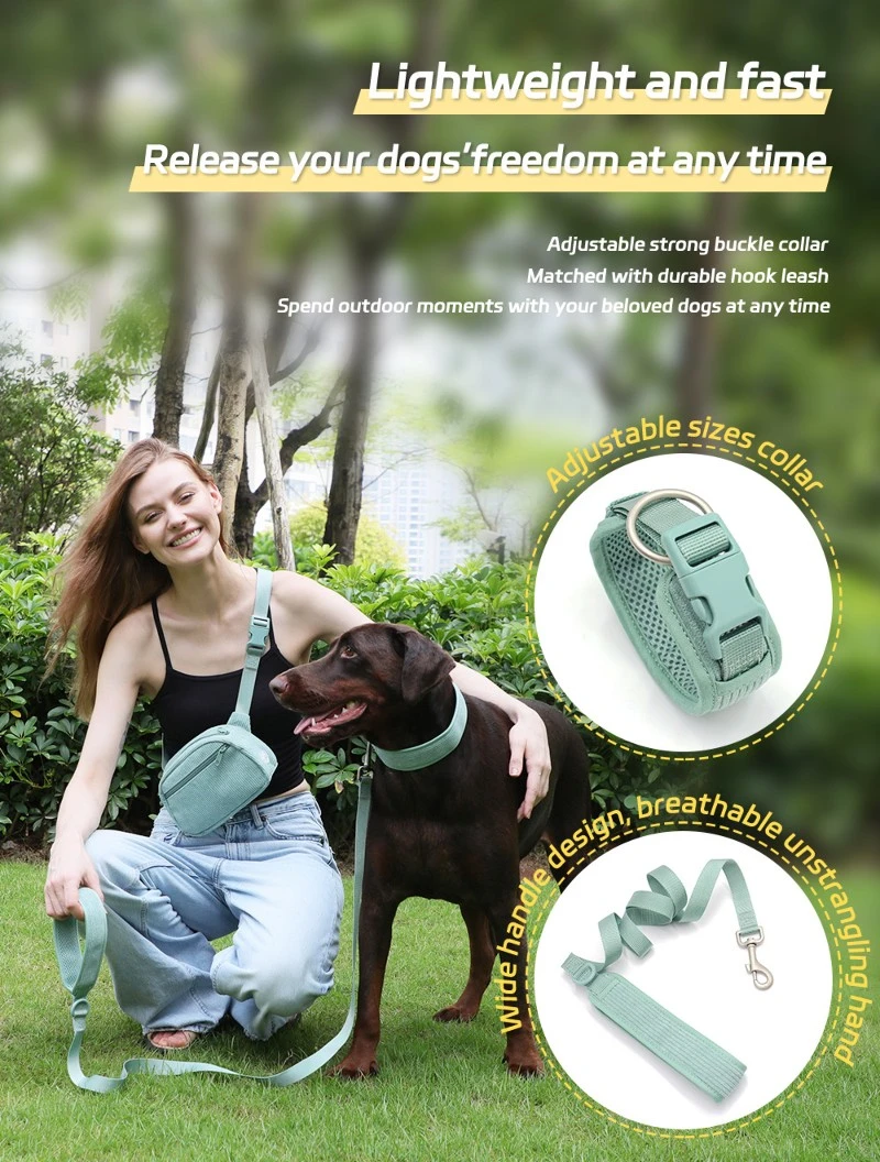 dog leash dog leash