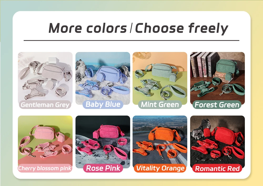 dog collar set