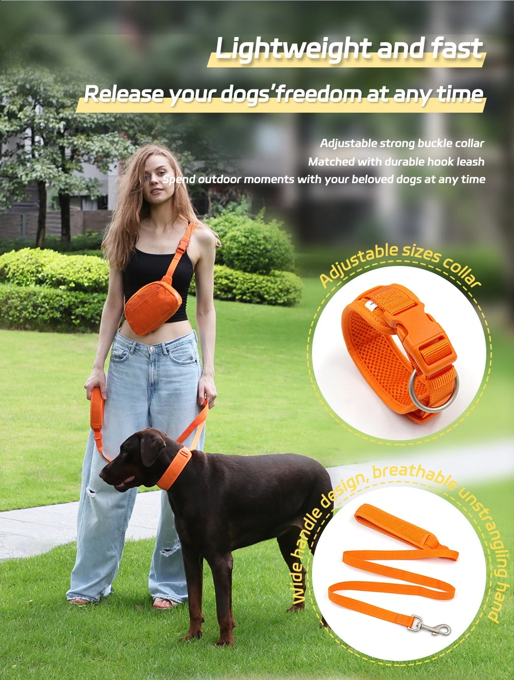 dog collar