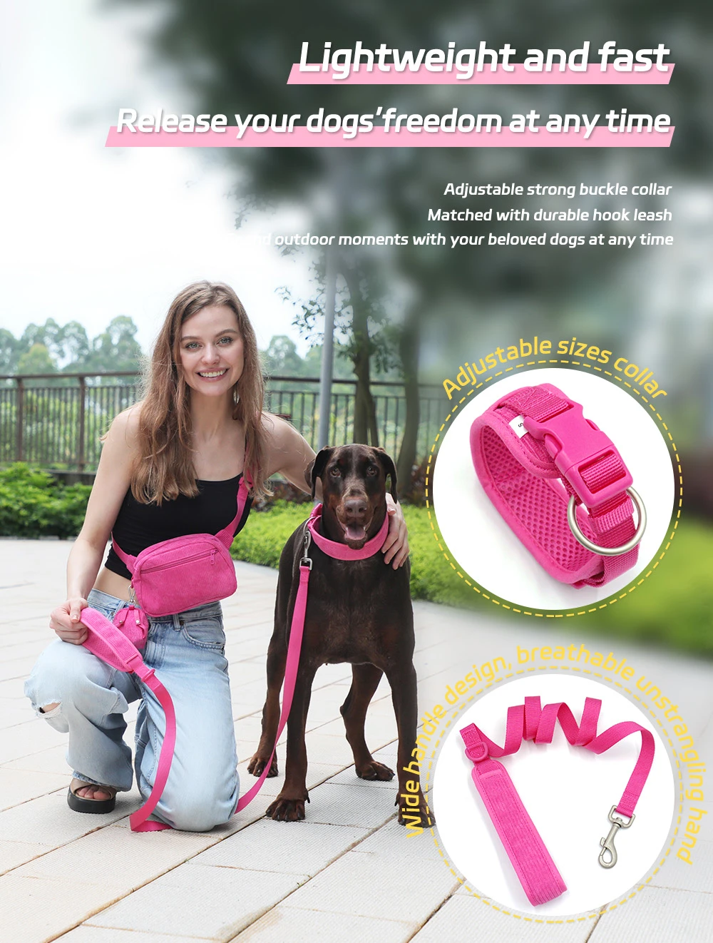dog leash