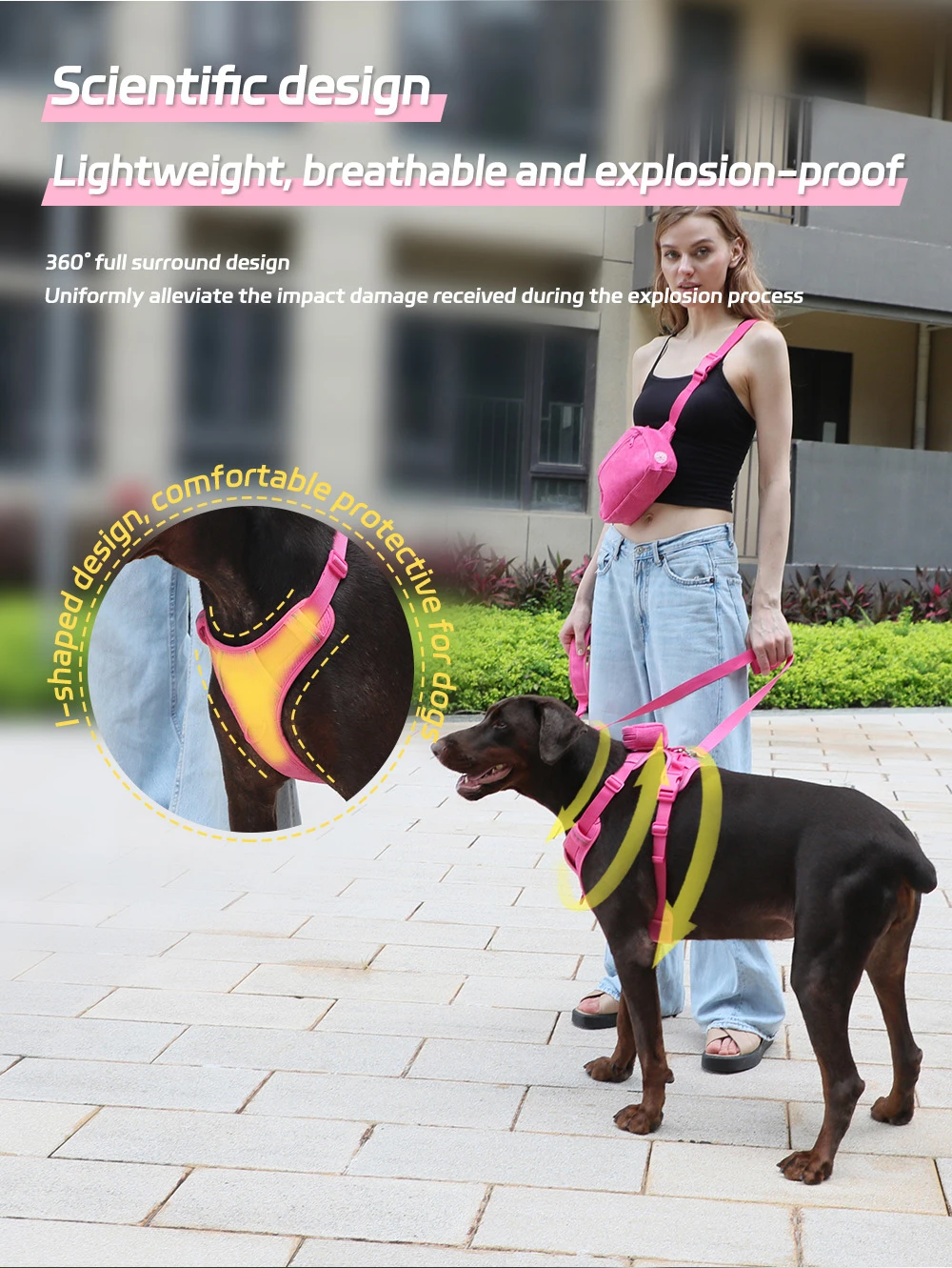 Designer dog harness Designer dog harness