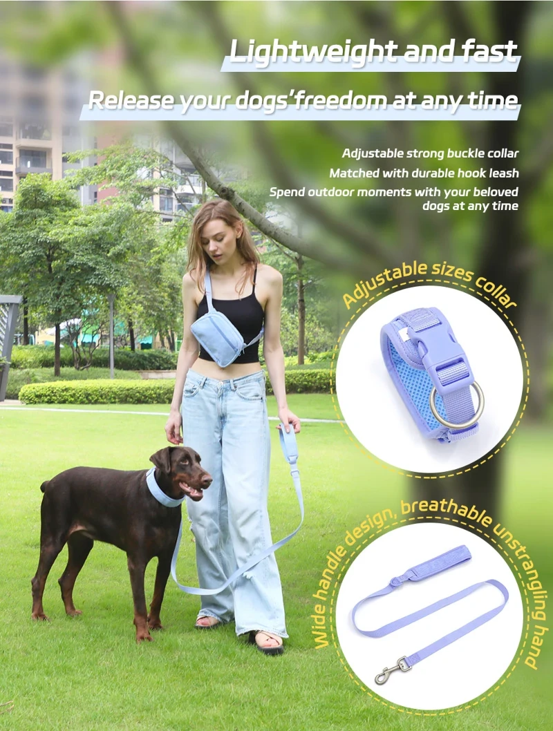 dog leash dog leash