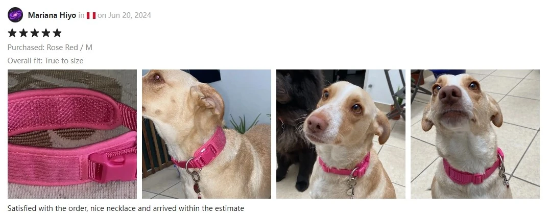 dog collar