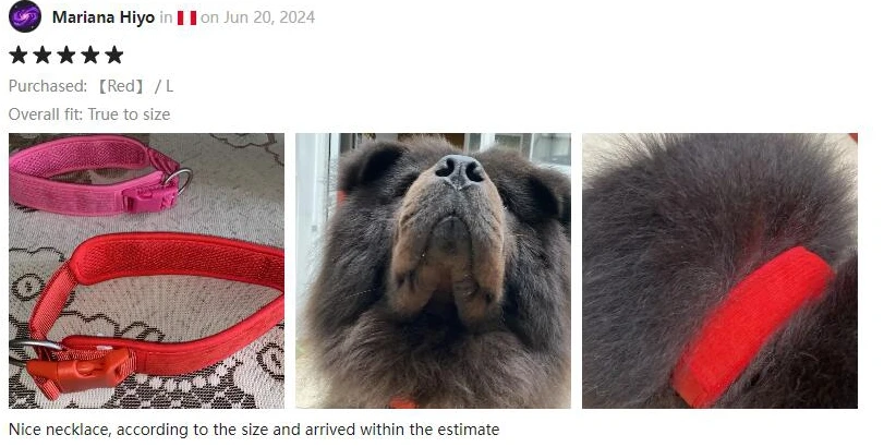 dog leash