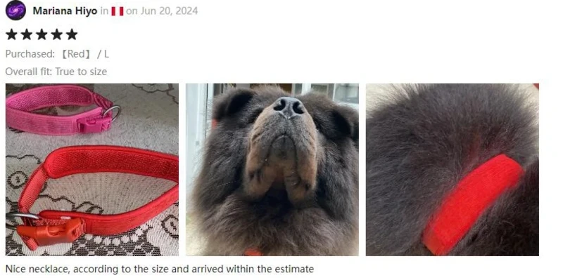 dog leash dog leash