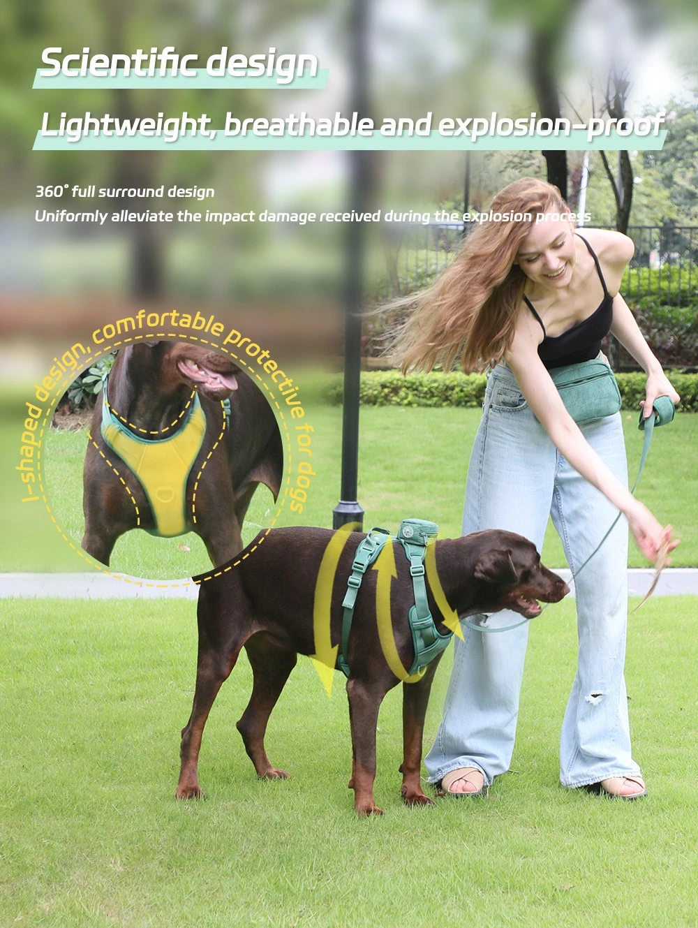 dog harness