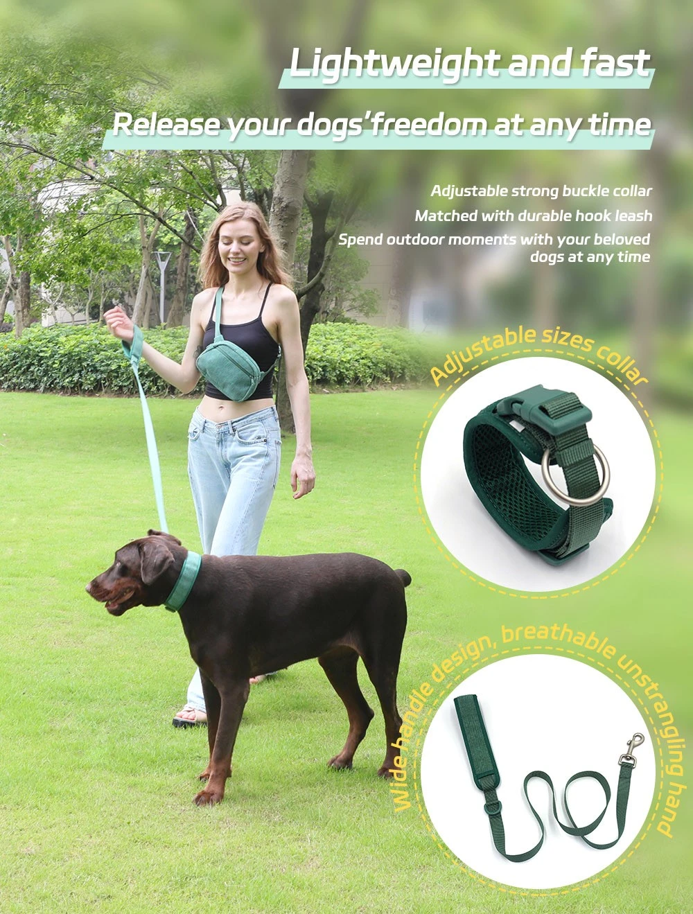 dog collarleash