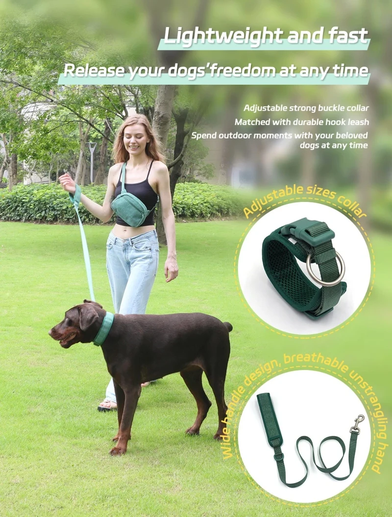 dog collarleash dog collarleash