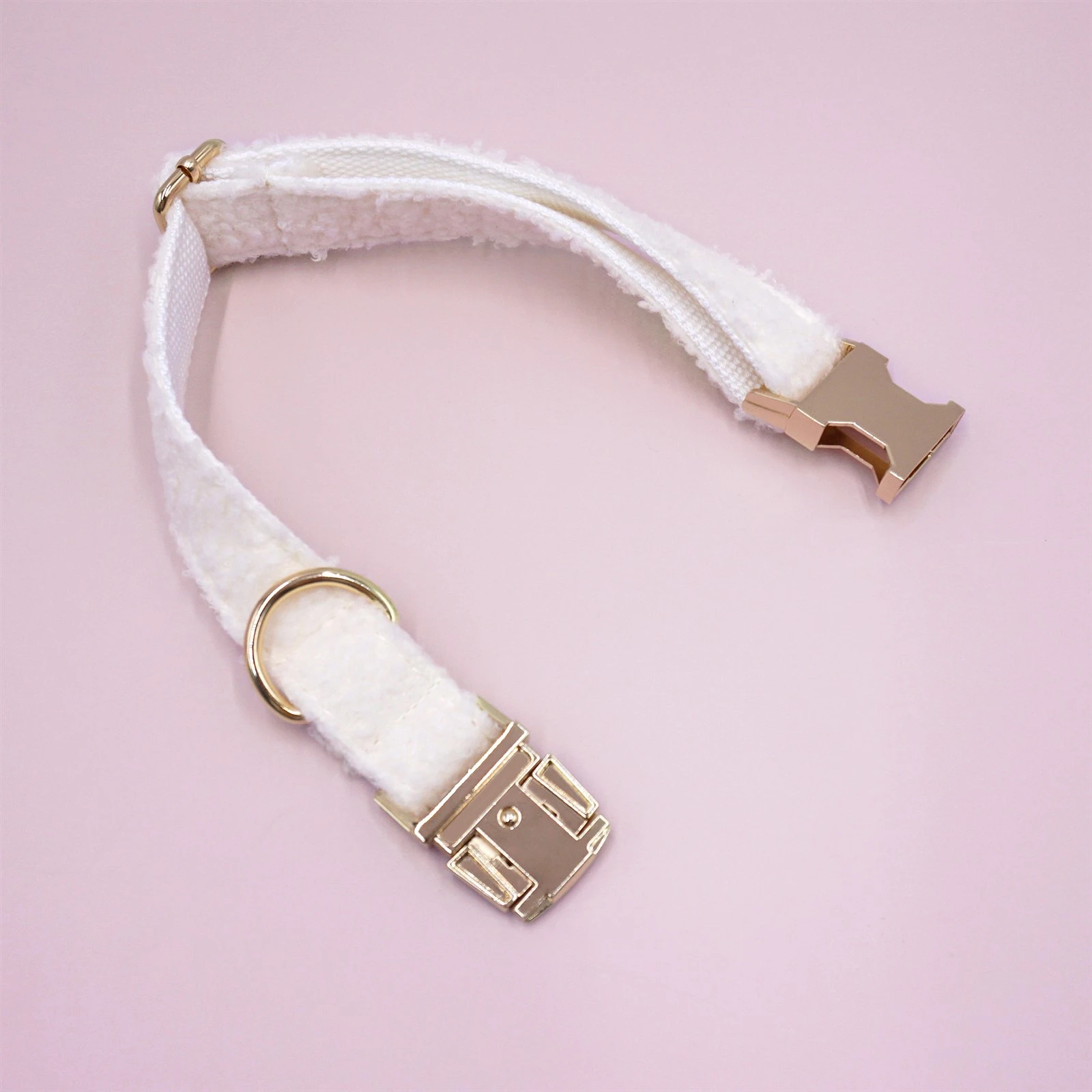 cute white Teddy velvet dog collar