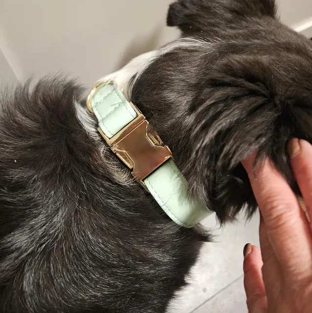 Blue Leather Dog Collar