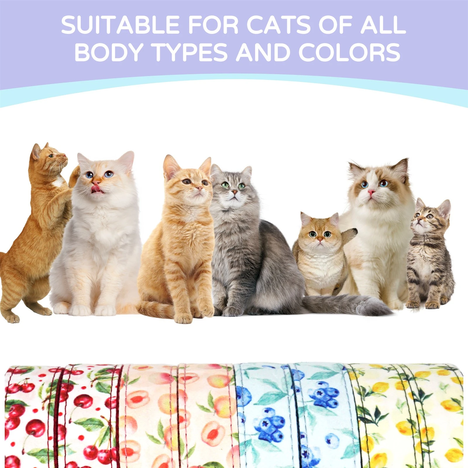cat collar cat collar